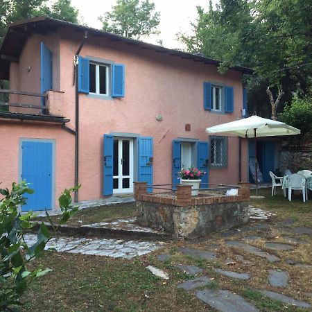 Casa Oliveto Villa Camaiore Eksteriør billede