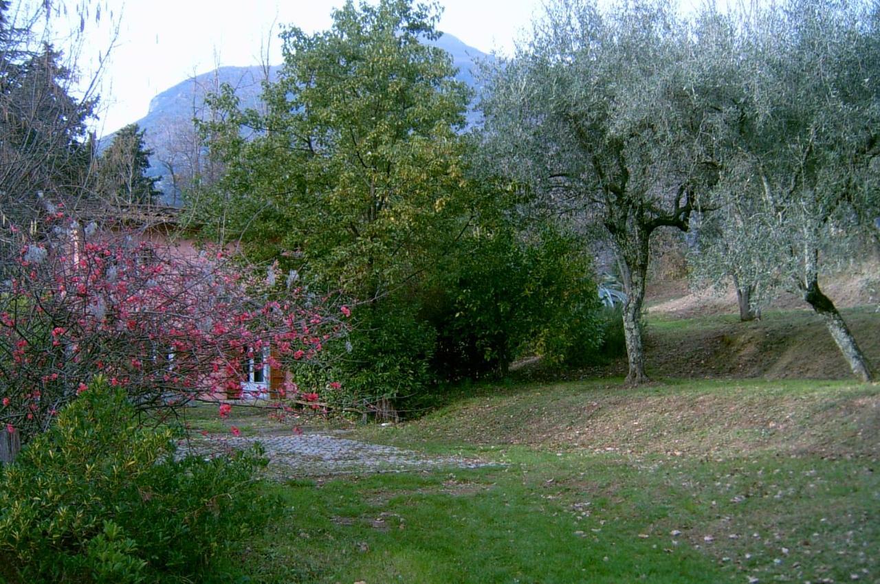 Casa Oliveto Villa Camaiore Eksteriør billede