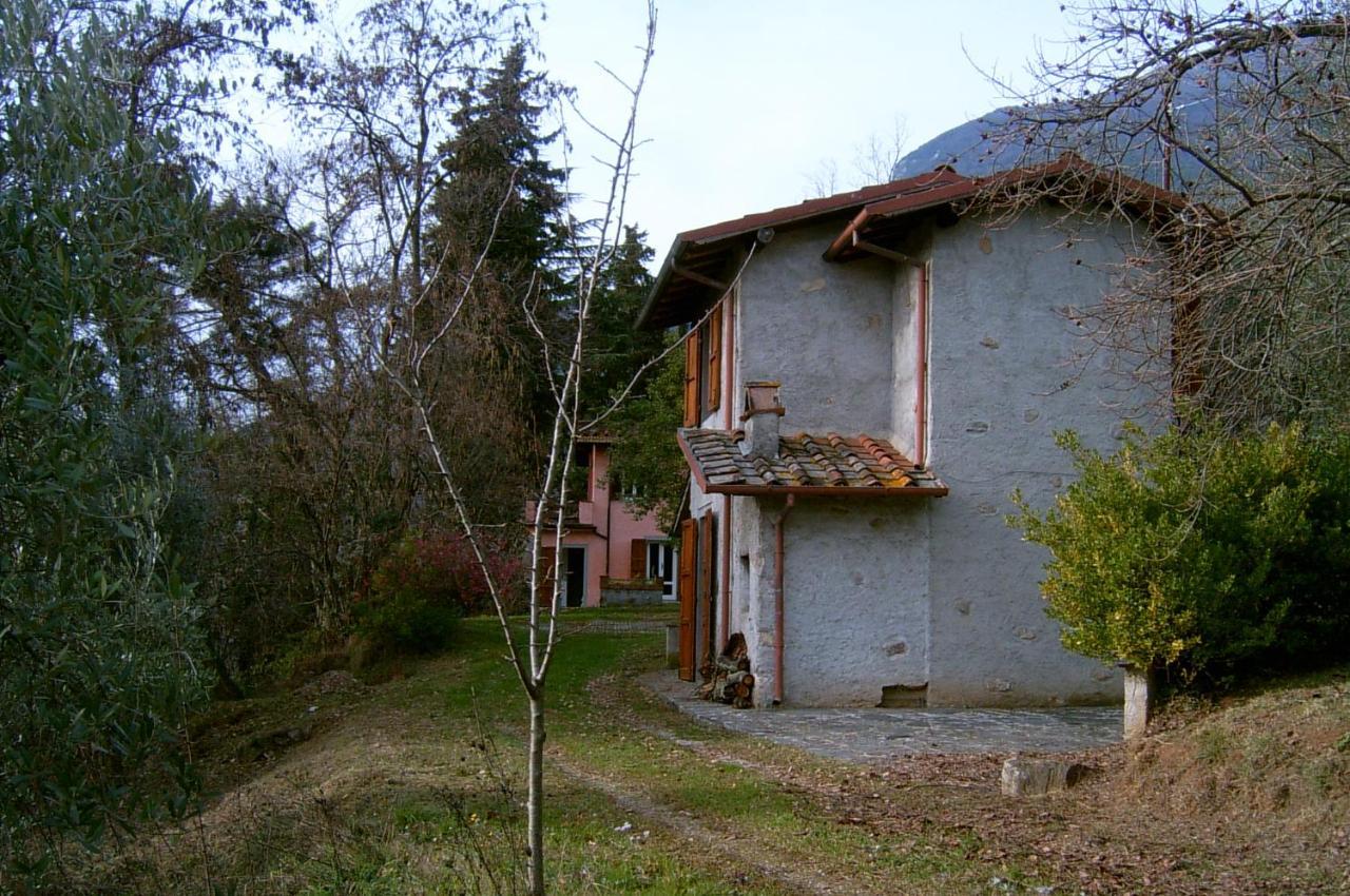 Casa Oliveto Villa Camaiore Eksteriør billede