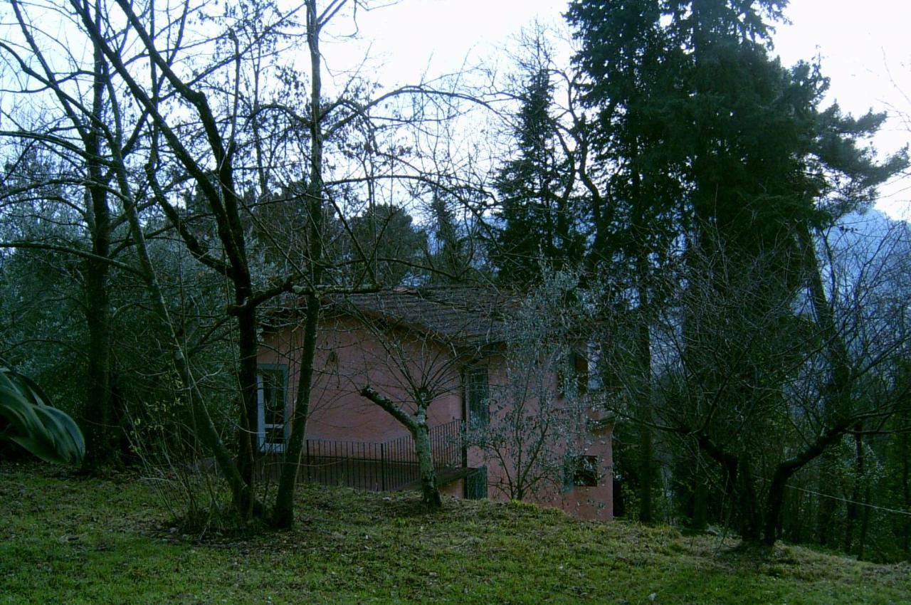 Casa Oliveto Villa Camaiore Eksteriør billede