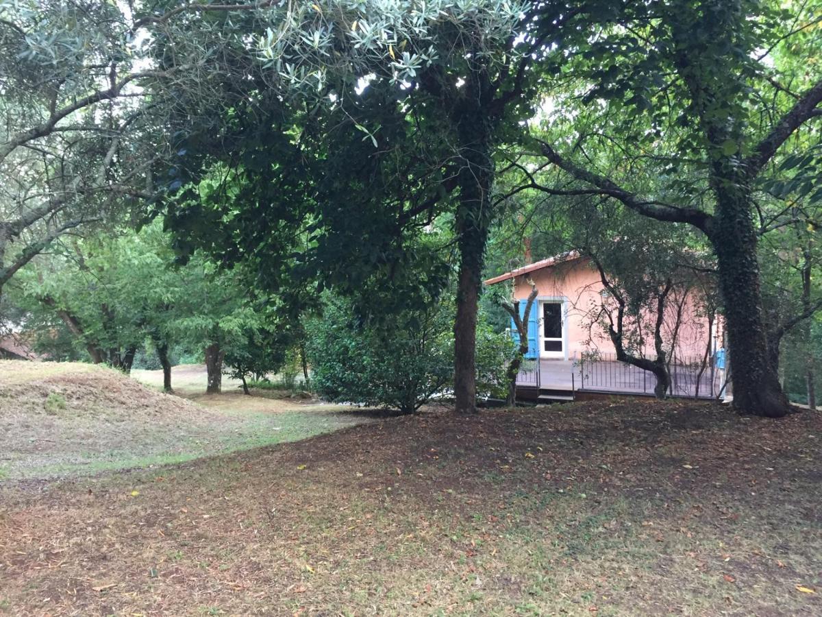 Casa Oliveto Villa Camaiore Eksteriør billede