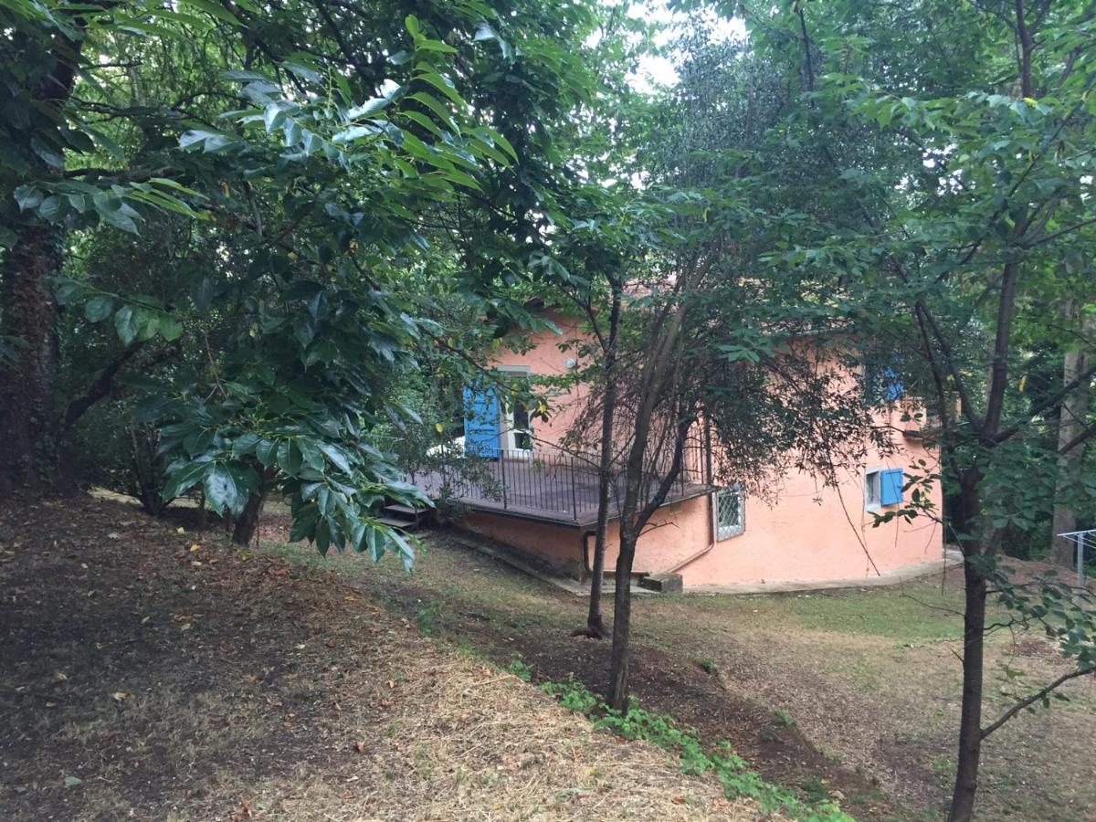 Casa Oliveto Villa Camaiore Eksteriør billede